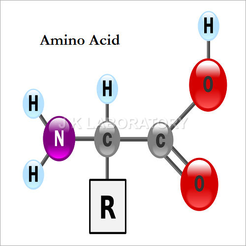 Amino Acid Testing Services