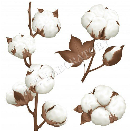 Cotton Testing સેવાઓ