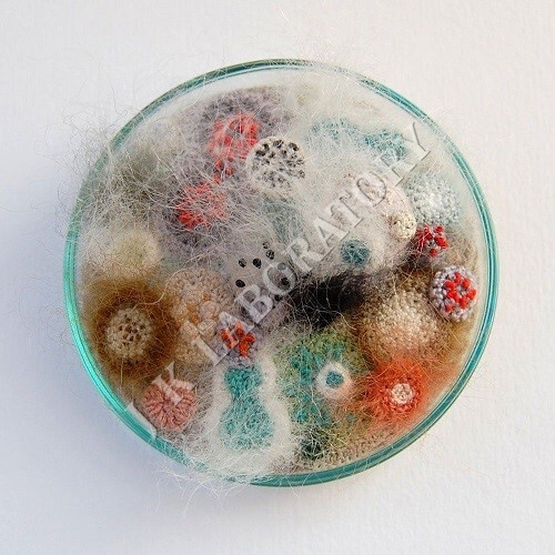 Antimicrobial Agents Testing સેવાઓ