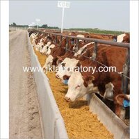 Cattle Feed Testing Services.