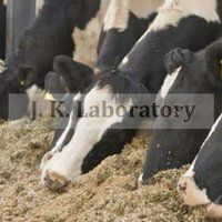 Animal Feed Testing Services