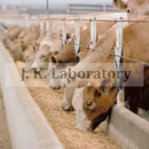 Cattle Feed Testing Services.