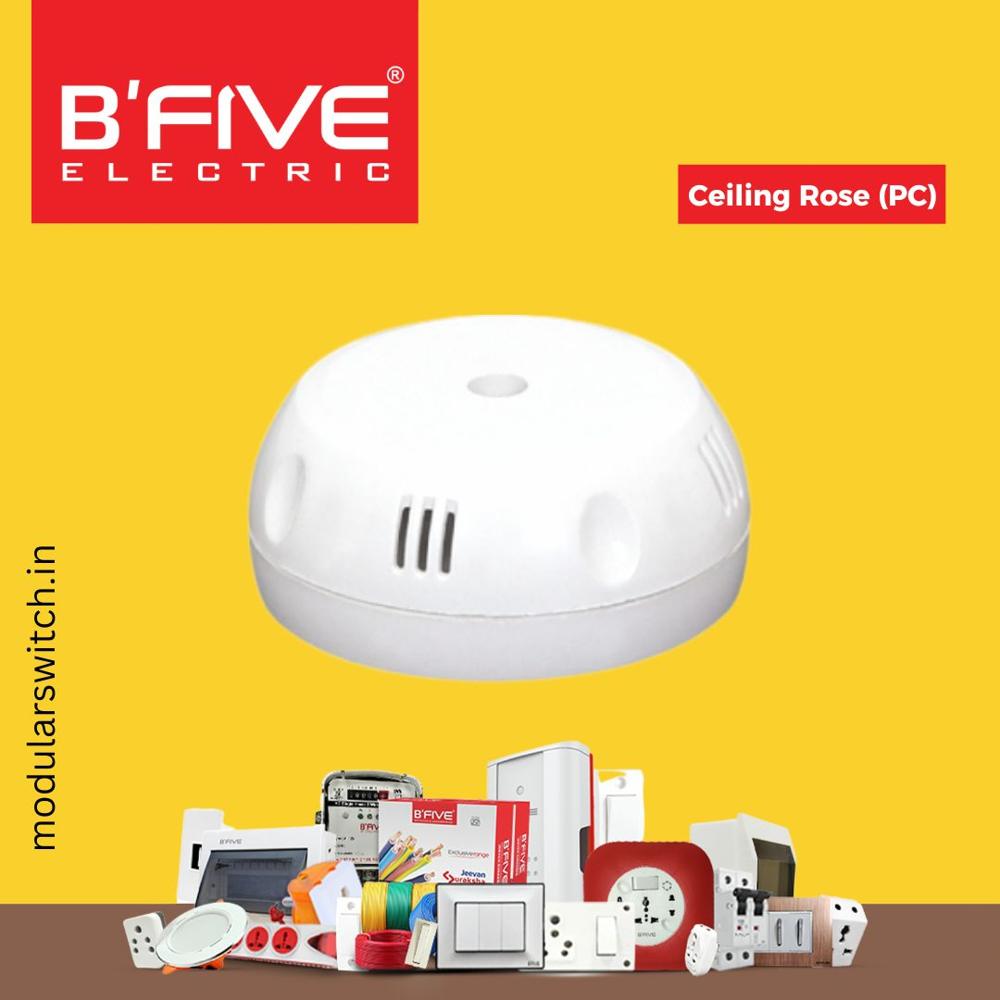 Holder | Ceiling Rose