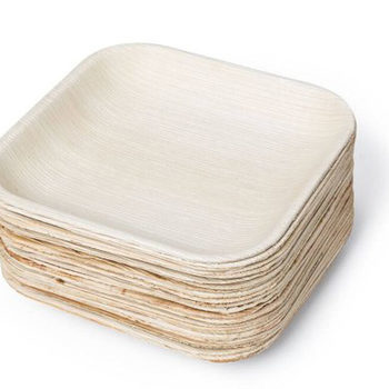 Biodegradable Areca Square Plate