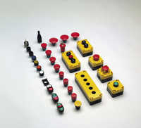 Button Switch