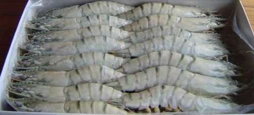 Frozen Prawn Shrimps By EPICO HUB SOLUCOES INOVADORAS LTDA