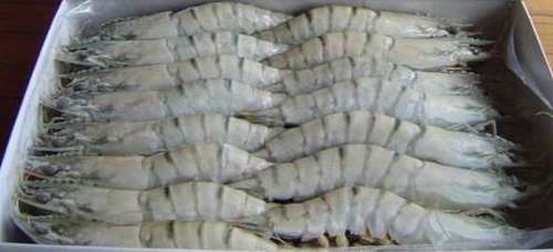 Frozen Prawn Shrimps