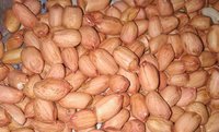 Dry Peanuts