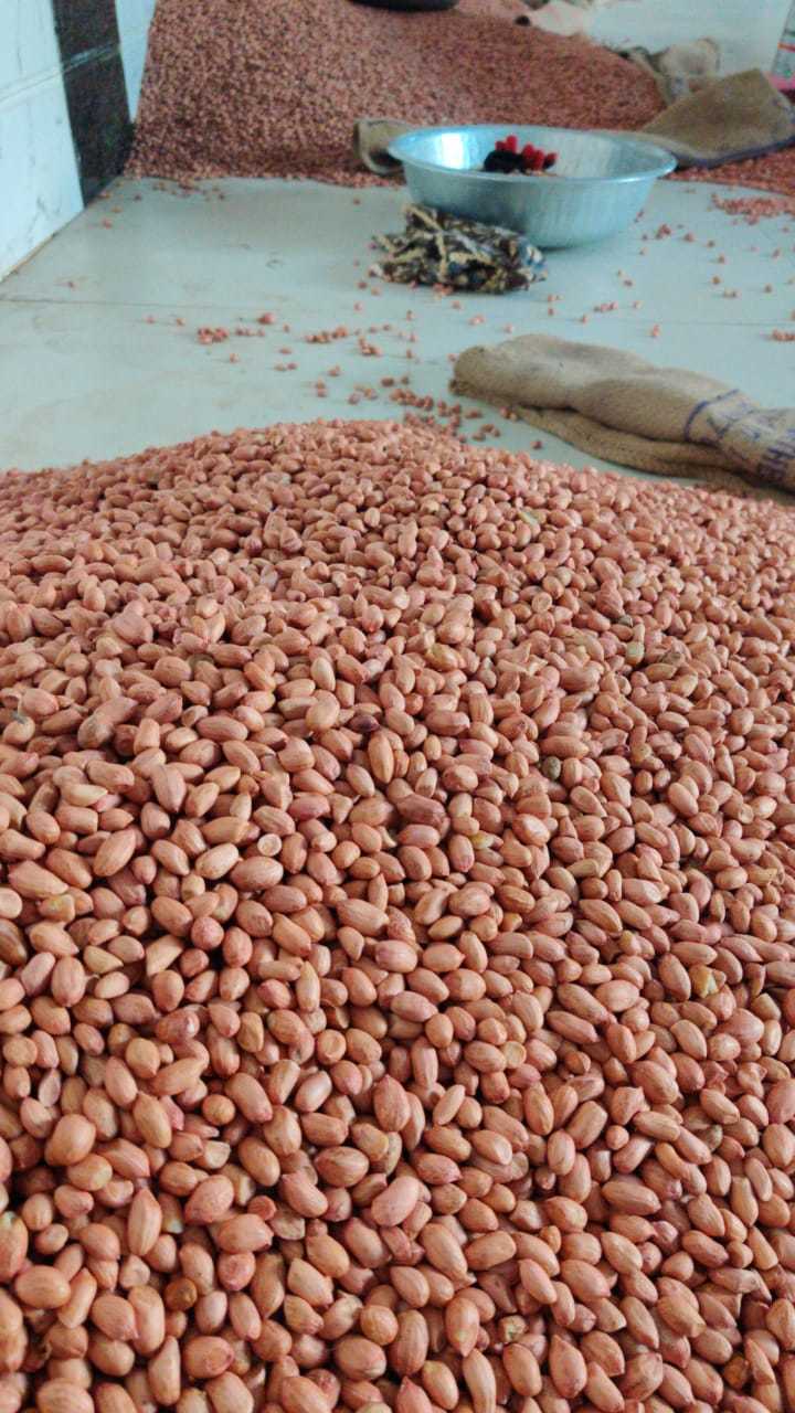 Dry Peanuts