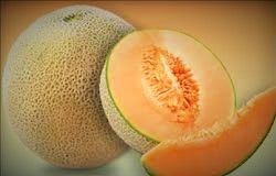 Muskmelon Seed