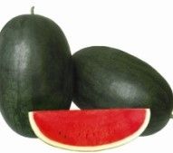 Watermelon Seed