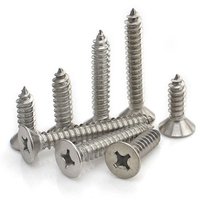 Metal Stainless Steel Screw, Philips Head Screw,