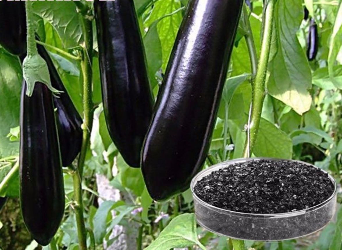Potassium Humate Black Shiny Flakes