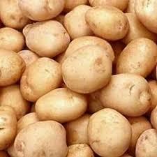 Fresh Jyoti Potato Grade: A