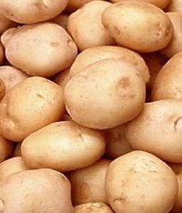 Fresh Pukhraj Potato