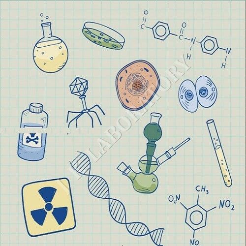 Bioburden Testing Services