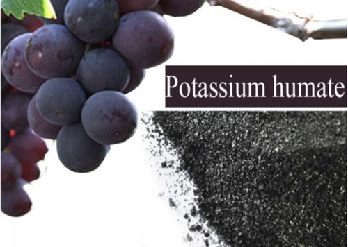 Black Potassium Humate Application: Agriculture