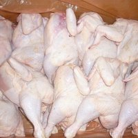 Top Quality Brazilian Halal Whole Frozen Chicken