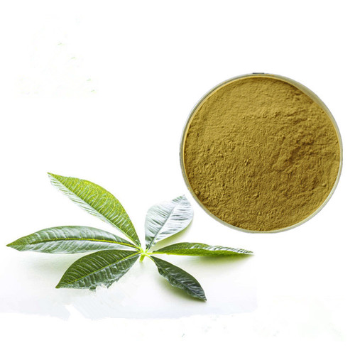 Guava Leaf Extract