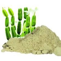 Hadjod Cissus Quadrangularis Extract