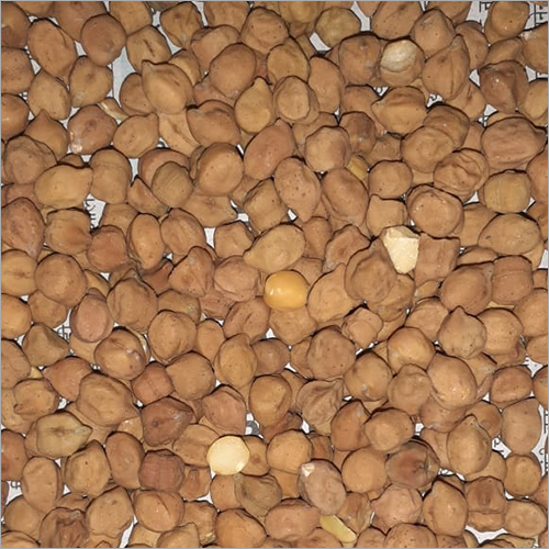 Chana Seeds