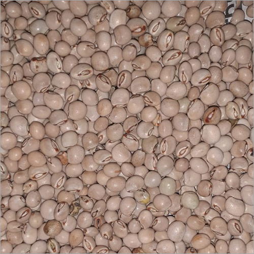 White Toor Dal - Whole High Purity | Excellent Source of Protein Iron Vitamins Easily Digestible