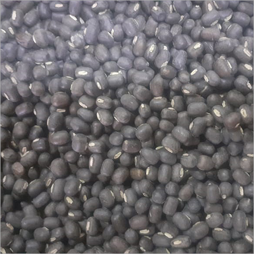 Urad Seeds