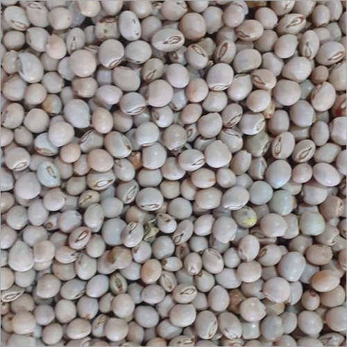 White Toor Seeds