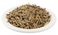 Indrajav Seeds Extract