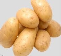 Fresh Badshah Potato