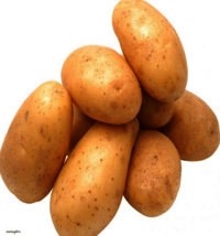 Fresh Chandramukhi Potato