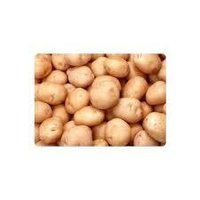 Fresh Chandramukhi Potato