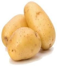 Fresh Chandramukhi Potato