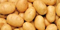 Fresh Chandramukhi Potato