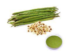 Moringa Seed Extract