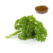 Parsley Extract