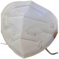 KN 95 Surgical Mask