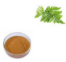 Polypodium Extract