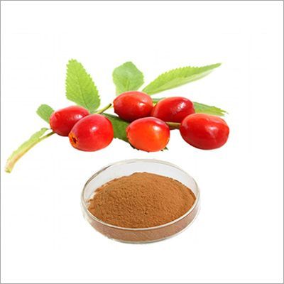 Rosehip Extract