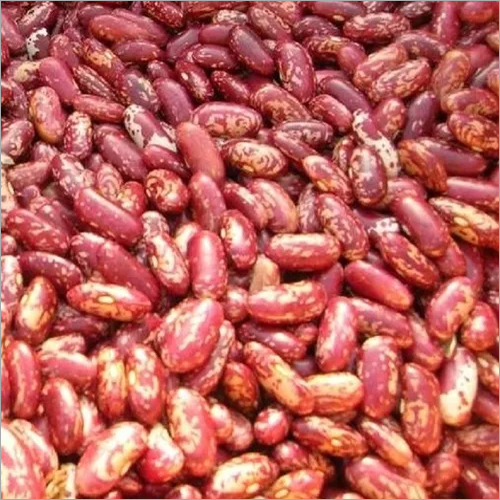 Export Quality Red Kidney Beans, Dark Red Kidney and White Kidney Beans Offer