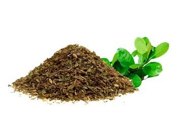 Herbal Product Yerba Mate Extract