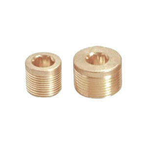 Brass Socket Pipe Plug