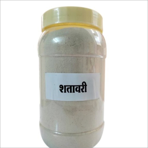 1kg Shatavari Powder By BRAMHAGIRI HERBALS AND ENTERPRISES