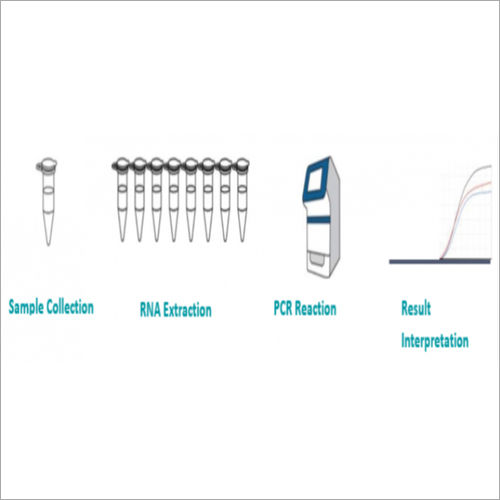 COVID-19 Real Time RT PCR Kit