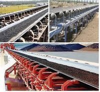Bulk Handling Conveyors - Material: Ss