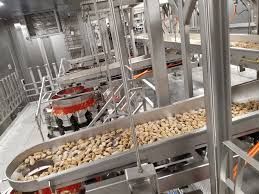 Vibrating Conveyors - Material: Ss\]