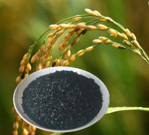 Imported Humic Acid Flakes