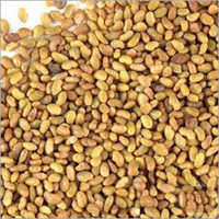 Quinoa Seeds And Grain