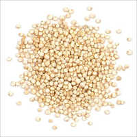 Grano de oro de la quinoa