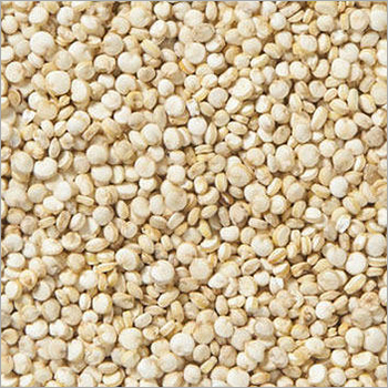 White Quinoa Grain